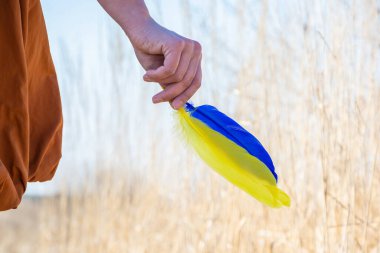 Tüyleri parmaklarınla tut. Güzel renkli tüyler. Kuş tüyleri