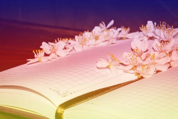 Цветы Блокноте Пишу Записную Книжку Весенние Цветы Письме — стоковое фото