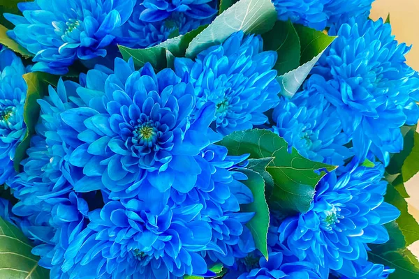 Синий Красивый Цветок Букет Красивых Цветов Милый Нежный Цветок — стоковое фото