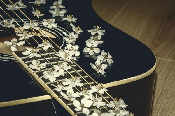 Siyah gitar. Güzel beyaz çiçekler. Çiçekli gitar. Romantik gitar