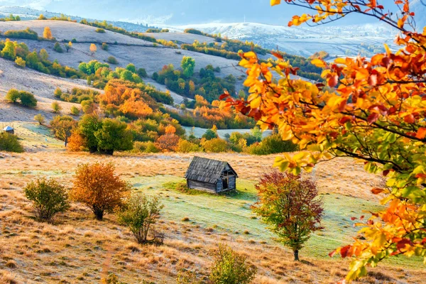 Dağ köyündeki renkli sonbahar manzarası. Karpat dağlarında sisli bir sabah. Pishkonia, Ukrayna, Avrupa.