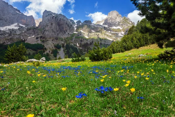 Panorama Panoramico Sulla Gola Montagna Albanese — Foto Stock