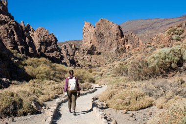 Benzersiz Roque Cinchado 'nun panoramik görüntüsü eşsiz bir kaya oluşumu ünlü Pico del Teide dağ volkanı zirvesi arka planda güneşli bir günde, Teide Ulusal Parkı, Tenerife, Kanarya Adaları, İspanya
