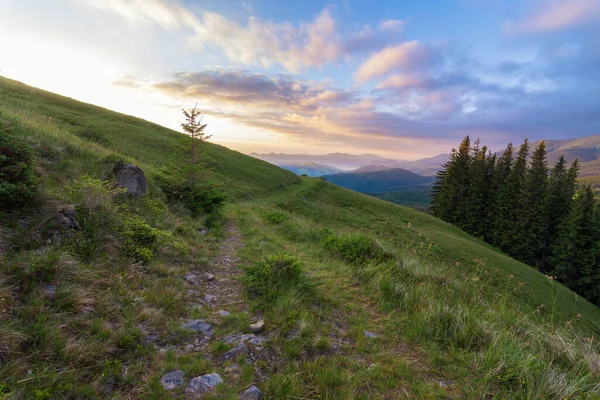 Amanhecer Nos Cárpatos Ucranianos Montanhas Cores Madrugada Panorama Montanhas — Fotografia de Stock