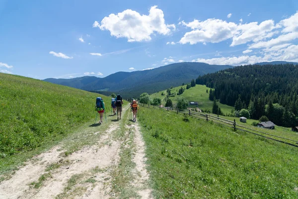 Sırt çantalı bir grup turist Ukrayna Karpatları 'ndaki bir vadiden geçiyor.