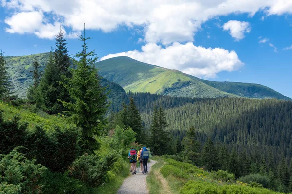 A group of tourists with backpacks moves through a valley in the Ukrainian Carpathians