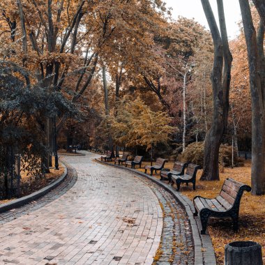 Autumn Park Köprüsü Sonbahar doğa manzarası. Parktaki patika
