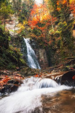 Dağlardaki panoramik sonbahar manzarası, dikey sonbahar manzarası, Ukrayna, Avrupa, Karpatya dağları
