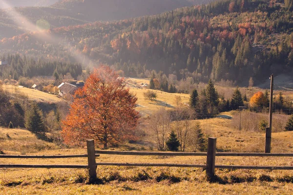 Autumn Panorama Mountain Village Autumn Carpathians Yellow Mountains Carpathians Ukraine — Stock Photo, Image