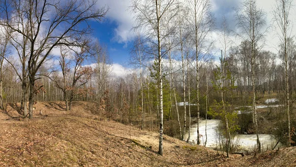 Jarní Krajina Zasněžené Rozmrazené Skvrny Žluté Trávě 2021 — Stock fotografie