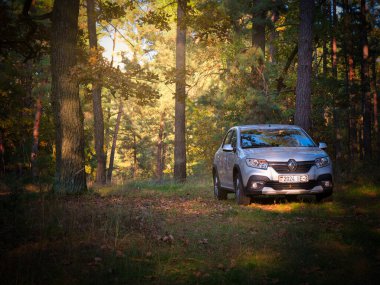 Gomel, BELARUS - 4 Ekim 2021: 2021 Karanlık bir sonbahar ormanında gümüş araba