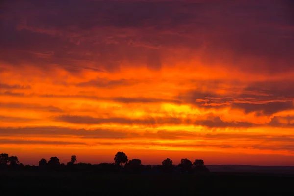 Бурное Красное Небо Закате Над Лесом 2021 — стоковое фото