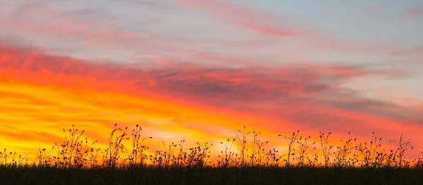 Piękny Zachód Słońca Dramatycznym Burzliwym Czerwonym Niebie 2021 — Zdjęcie stockowe