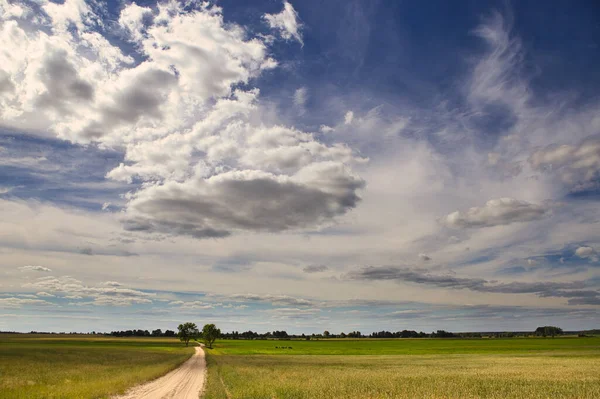 Nuvens Brancas Sobre Campo Verde Durante Dia 2021 — Fotografia de Stock