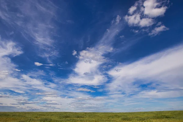 Nuvens Brancas Sobre Campo Verde Durante Dia 2021 — Fotografia de Stock