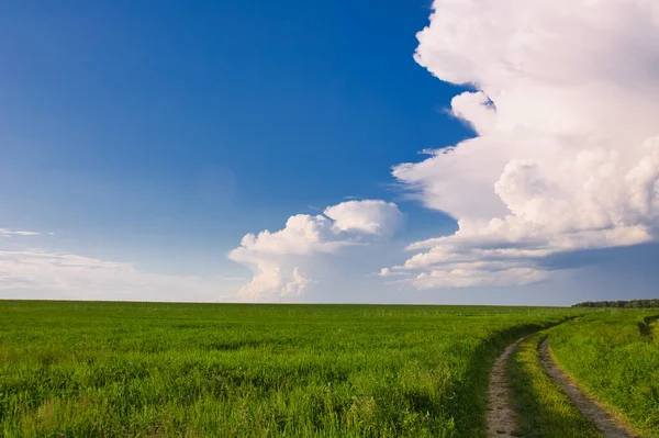 Belas Nuvens Brancas Sobre Campo Verde 2021 — Fotografia de Stock