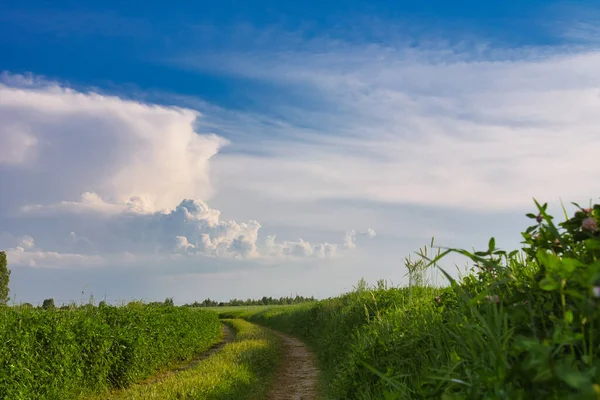 Belle Nuvole Bianche Campo Verde 2021 — Foto Stock