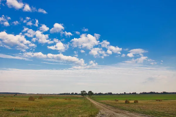 Dirt Road Field Sunset 2021 — Stock Photo, Image