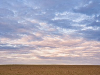 2021 ekili tarlanın üzerinde güzel kasvetli gökyüzü