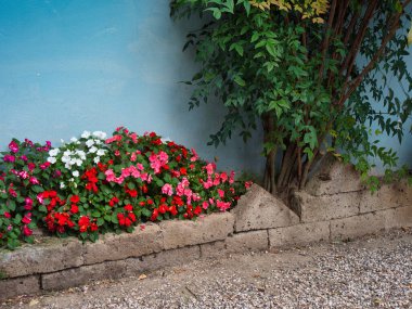 2021 bahçesindeki yeşil bölgenin tasarım elementleri