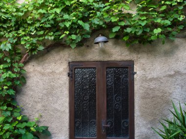 2021 bahçesindeki yeşil bölgenin tasarım elementleri