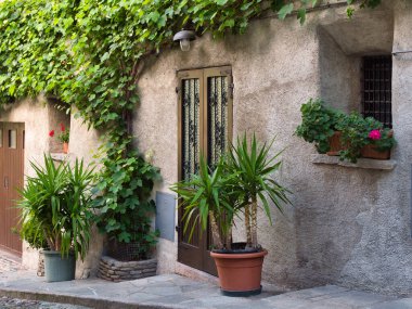 2021 bahçesindeki yeşil bölgenin tasarım elementleri