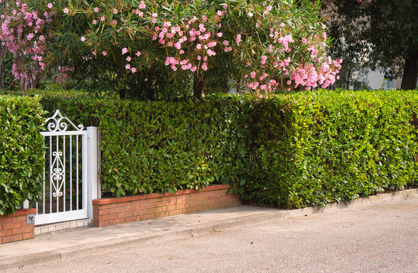 элементы дизайна зеленой зоны в саду 2021