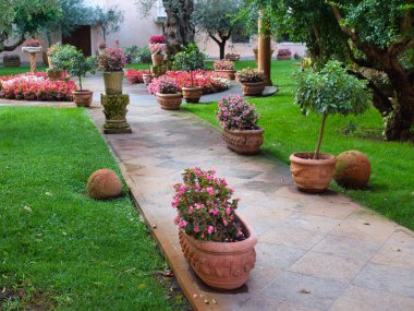 2021 bahçesindeki yeşil bölgenin tasarım elementleri