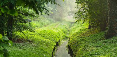 2021 bahçesindeki yeşil bölgenin tasarım elementleri