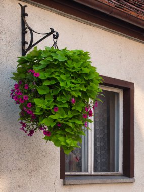 2021 bahçesindeki yeşil bölgenin tasarım elementleri