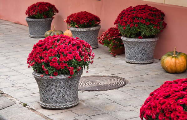 элементы дизайна зеленой зоны в саду 2021