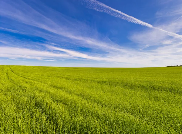 Panorama Van Akkerland Tegen Blauwe Lucht Met Wolken 2021 — Stockfoto