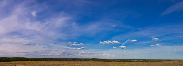 Panorama Del Campo Cultivo Contra Cielo Azul Con Nubes 2021 —  Fotos de Stock