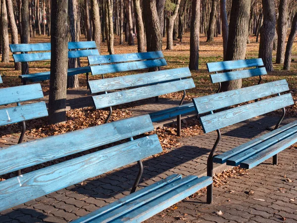 Bancos Originais Fileiras Parque Outono 2021 — Fotografia de Stock