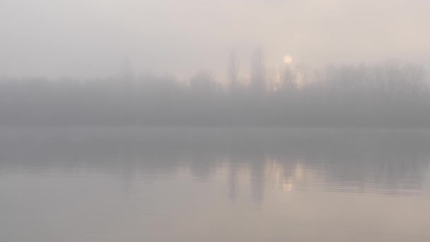 Fog River Fisherman Boat Sunset November — Stock Video