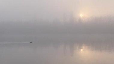 Kasım 'da gün batımında teknede bir balıkçı.
