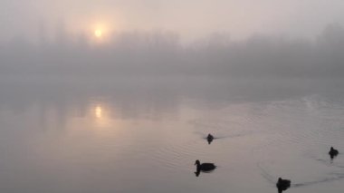 Kasım 'da günbatımında nehirde sis vardı.