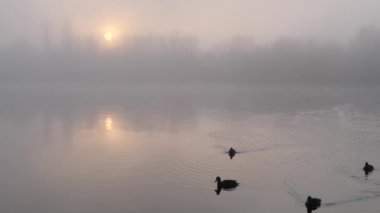Kasım 'da günbatımında nehirde sis vardı.