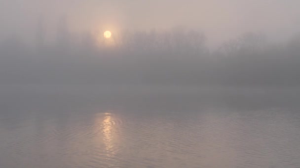 Kabut Atas Sungai Seorang Nelayan Perahu Saat Matahari Terbenam Pada — Stok Video