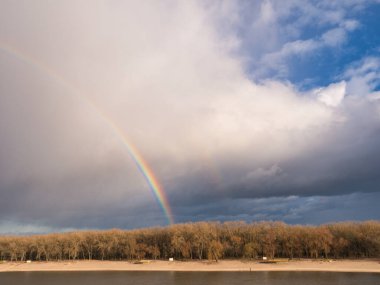 Karanlık gökyüzüne karşı ağaçların üzerinde parlak gökkuşağı 2021