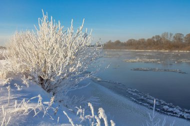 winter landscape. morning frost and sun. ice drift on the river. the branches of plants are covered with white frost 2022