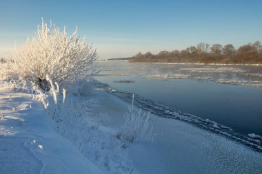 winter landscape. morning frost and sun. ice drift on the river. the branches of plants are covered with white frost 2022