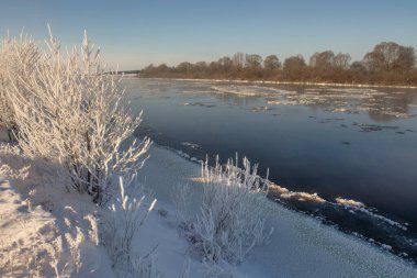winter landscape. morning frost and sun. ice drift on the river. the branches of plants are covered with white frost 2022