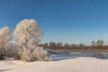 winter landscape. morning frost and sun. ice drift on the river. the branches of plants are covered with white frost 2022