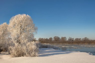 winter landscape. morning frost and sun. ice drift on the river. the branches of plants are covered with white frost 2022