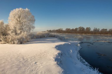 winter landscape. morning frost and sun. ice drift on the river. the branches of plants are covered with white frost 2022