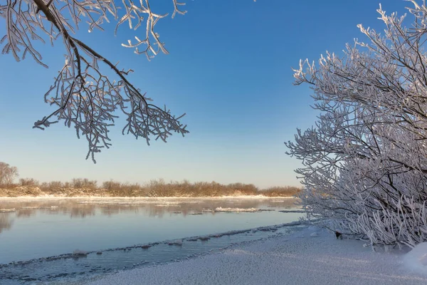 Winter Landscape Morning Frost Sun Ice Drift River Branches Plants — Stock Photo, Image