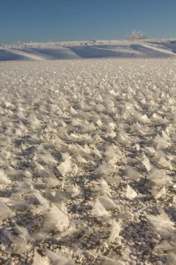 winter landscape. morning frost and sun. the branches of plants are covered with white frost 2022