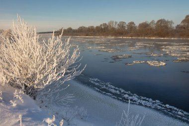 winter landscape. morning frost and sun. ice drift on the river. the branches of plants are covered with white frost 2022