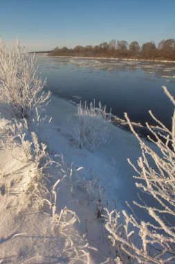 winter landscape. morning frost and sun. ice drift on the river. the branches of plants are covered with white frost 2022